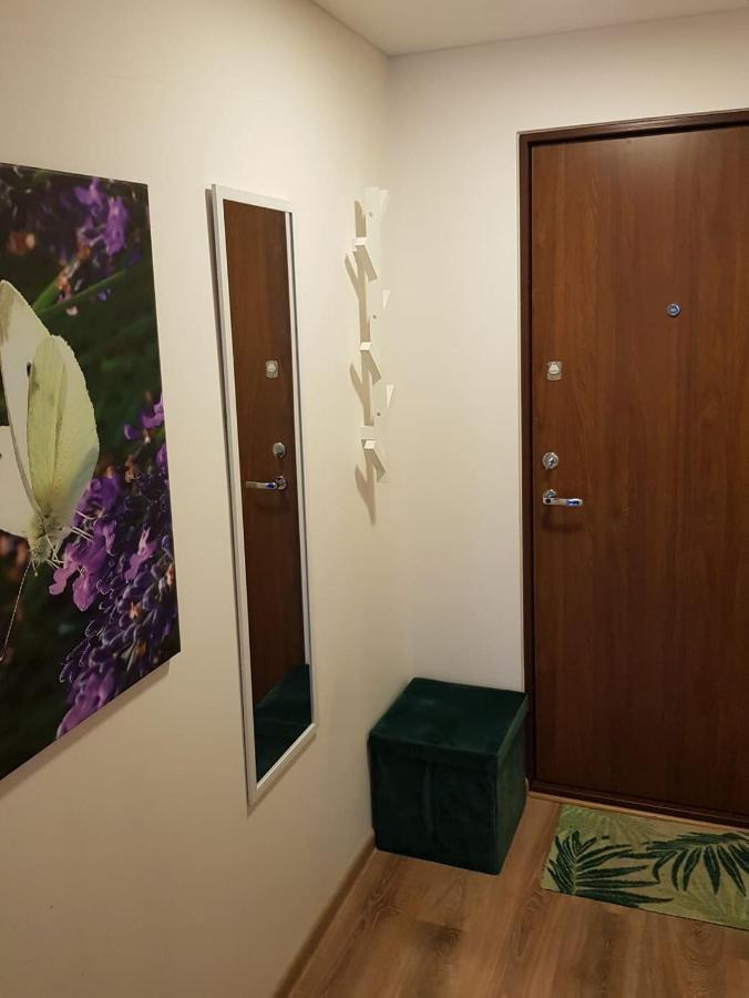Akropolis Apartment For You 克莱佩达 外观 照片